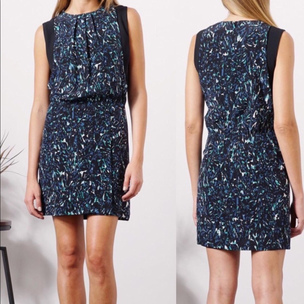 Greylin Silk Dress